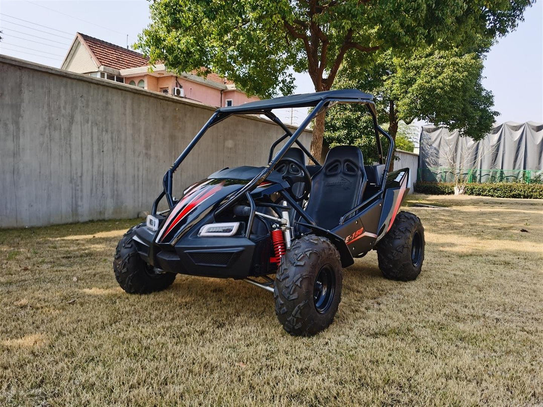 Shark off road buggy hotsell