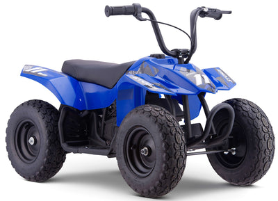 250w Kids Ride On Electric Mini Quad Bike - Blue