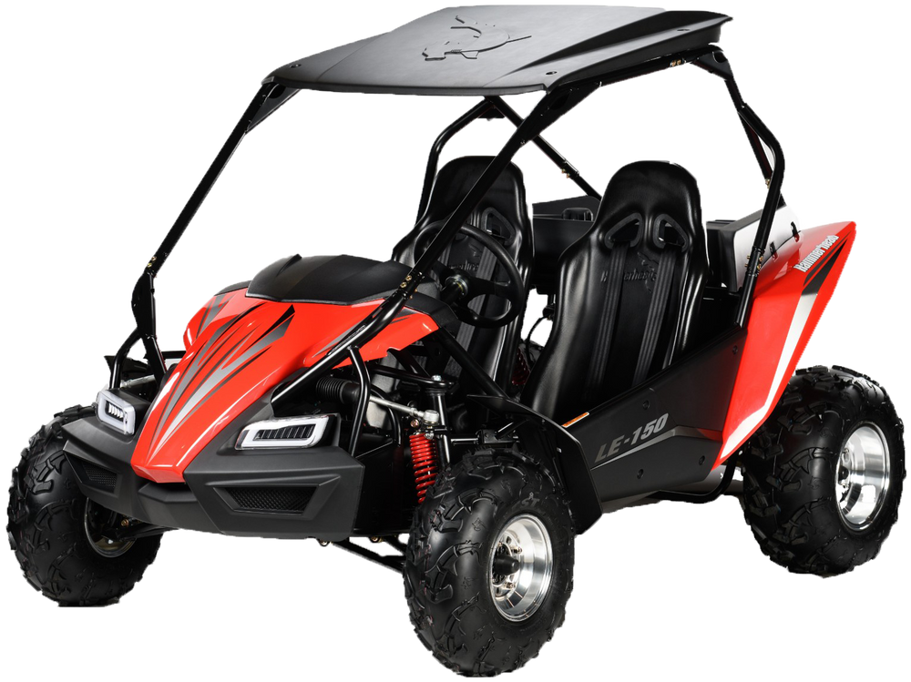 Off road dune buggy for sale shop