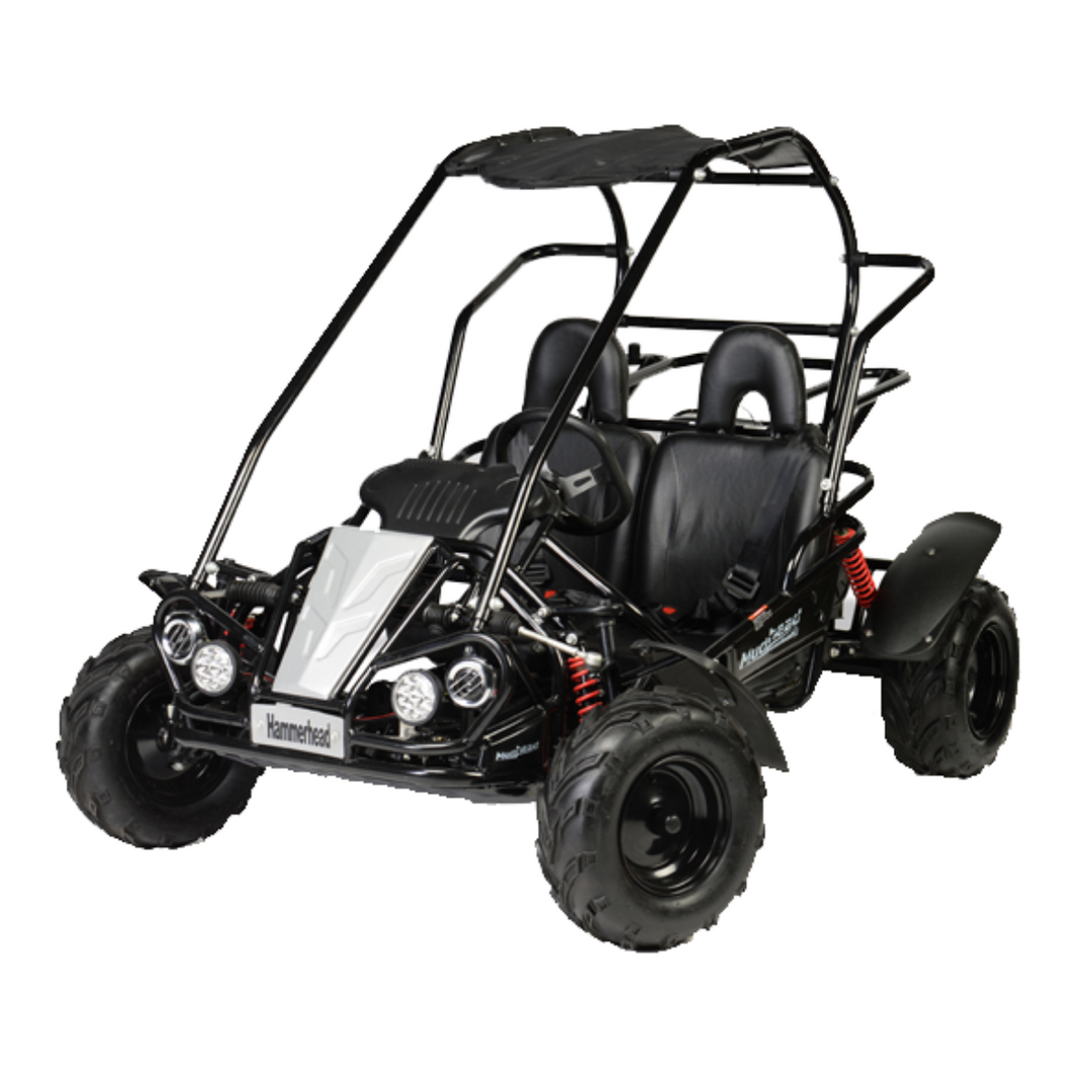 Kids Off Road Buggies Quads4Kids