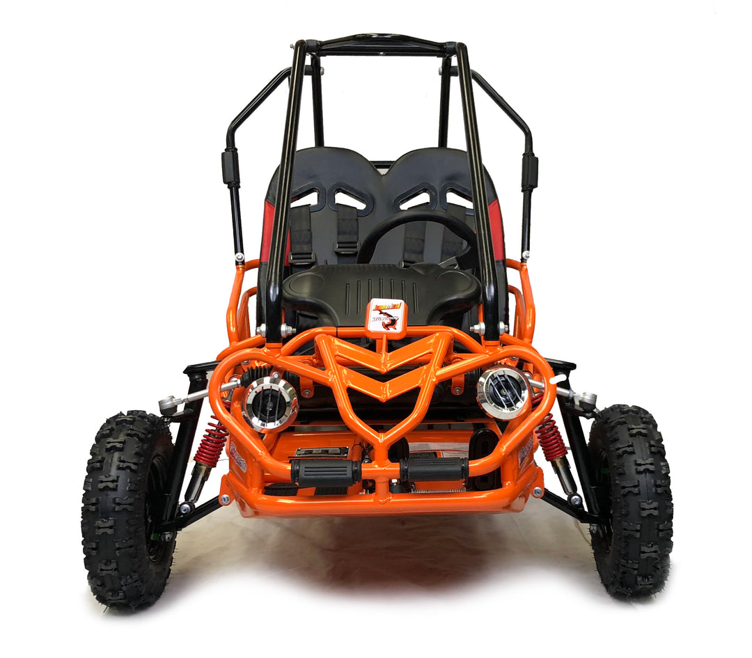 Mini buggy 100cc on sale