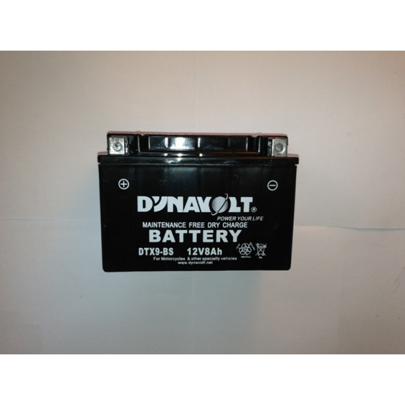 Battery (YTX9-BS)