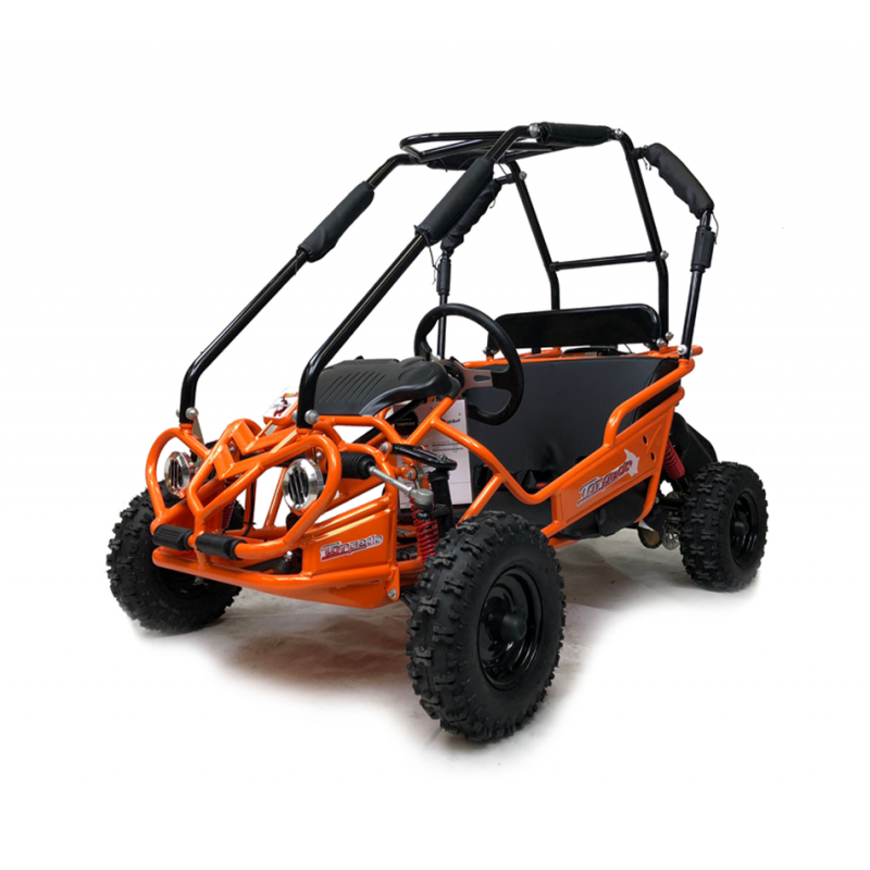 Hammerhead™ Torpedo Kids Off Road Buggy