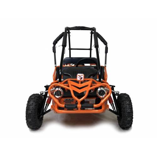 Hammerhead™ Torpedo Kids Off Road Buggy