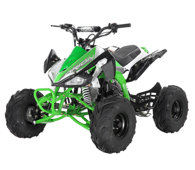 Orion Panther 110cc Teens Quad Bike