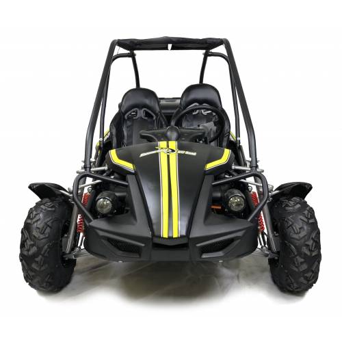 Hammerhead™ 150GTS Off Road Buggy