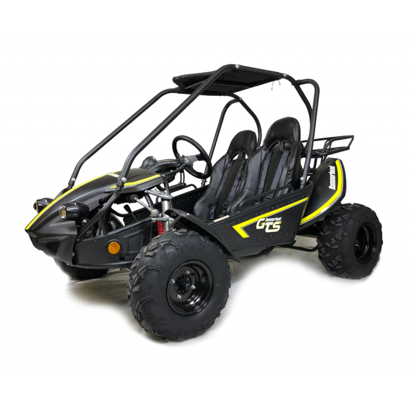 Hammerhead™ 150GTS Off Road Buggy