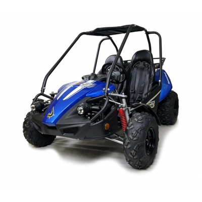 Hammerhead™ 150GTS Off Road Buggy