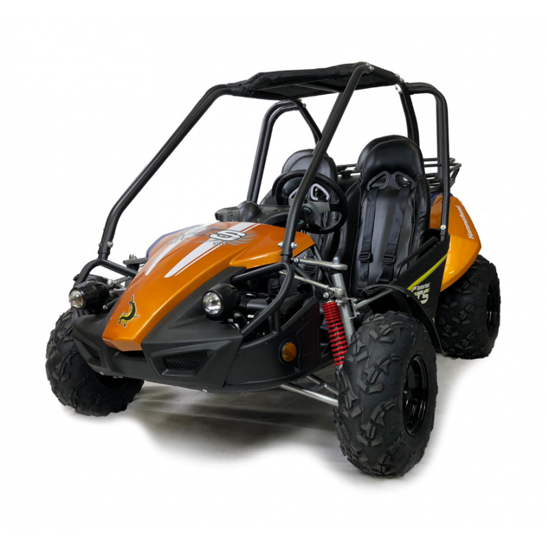 Hammerhead™ 150GTS Off Road Buggy