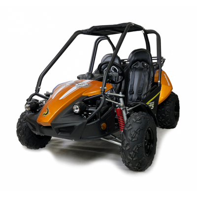 Hammerhead™ 150GTS Off Road Buggy