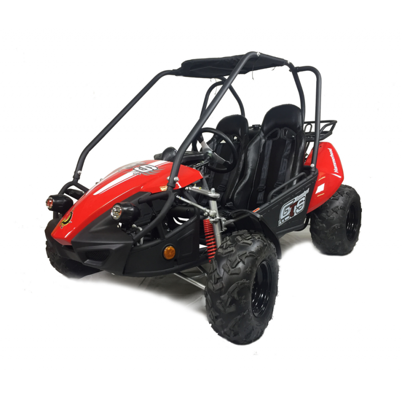 Hammerhead GTS150 Buggy