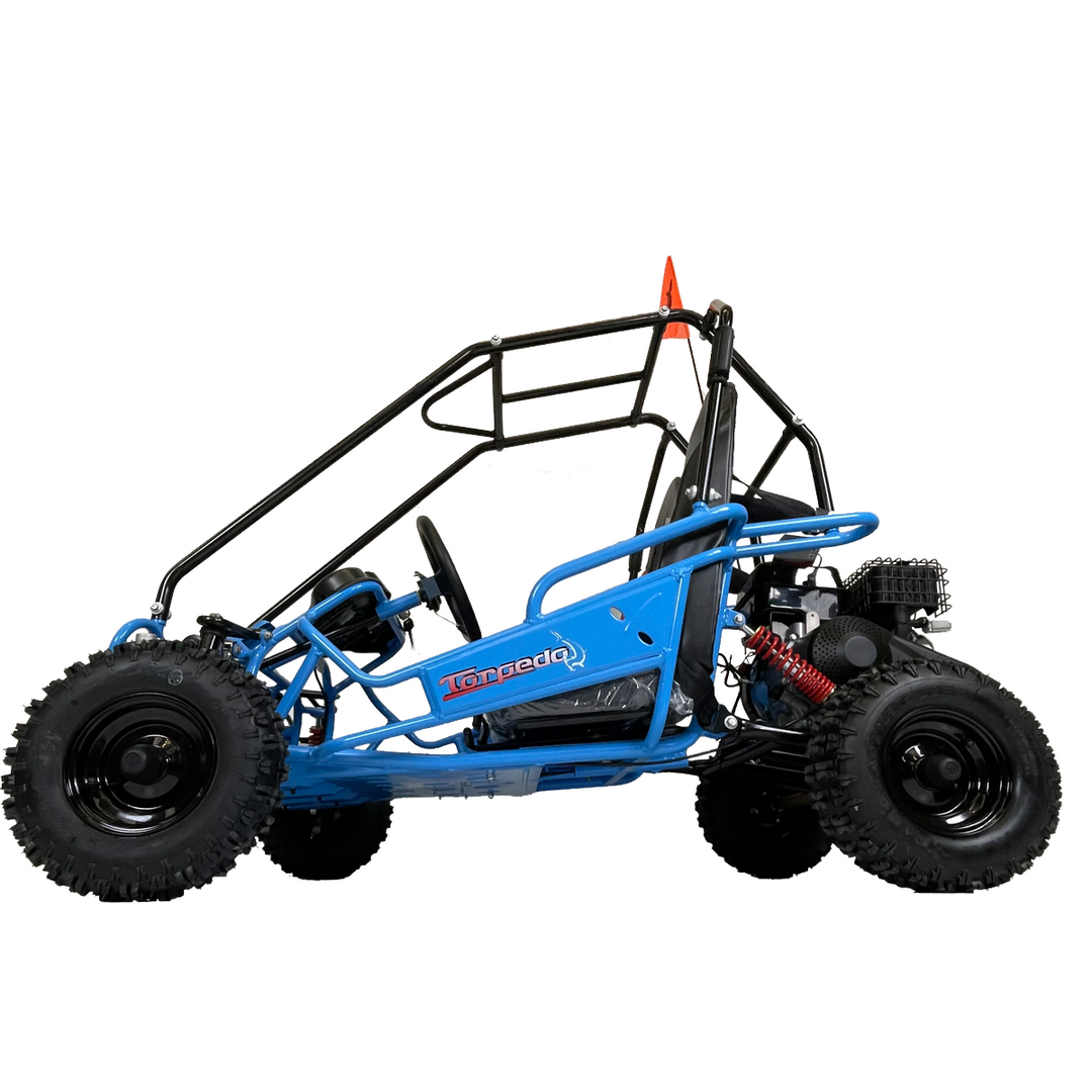 Petrol dune buggy sales