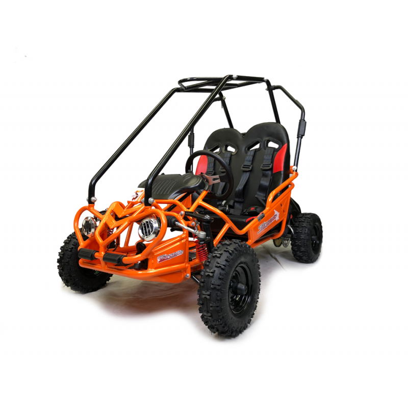 Off road buggy price online