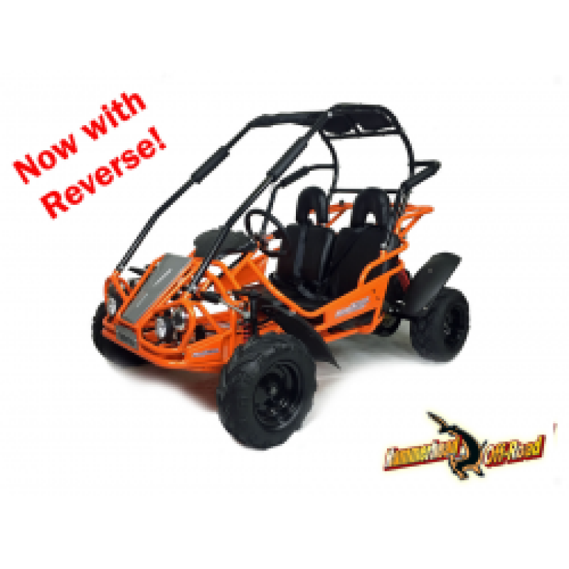 Hammerhead™ Mudhead™ Reverse 208R Junior Off Road Buggy